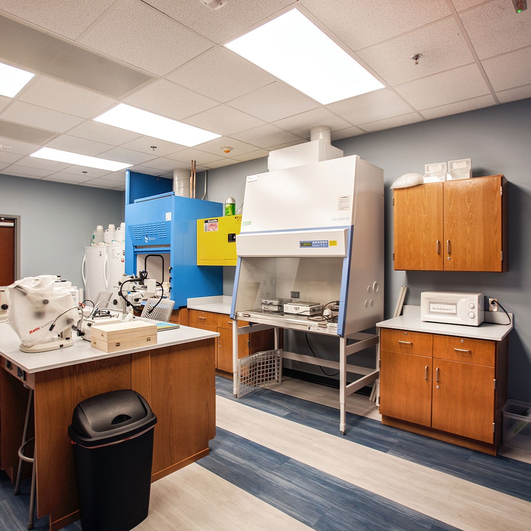 beach-mosquito-control-district-03